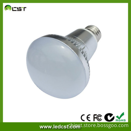 SMD5630 8W LED Bulb R80